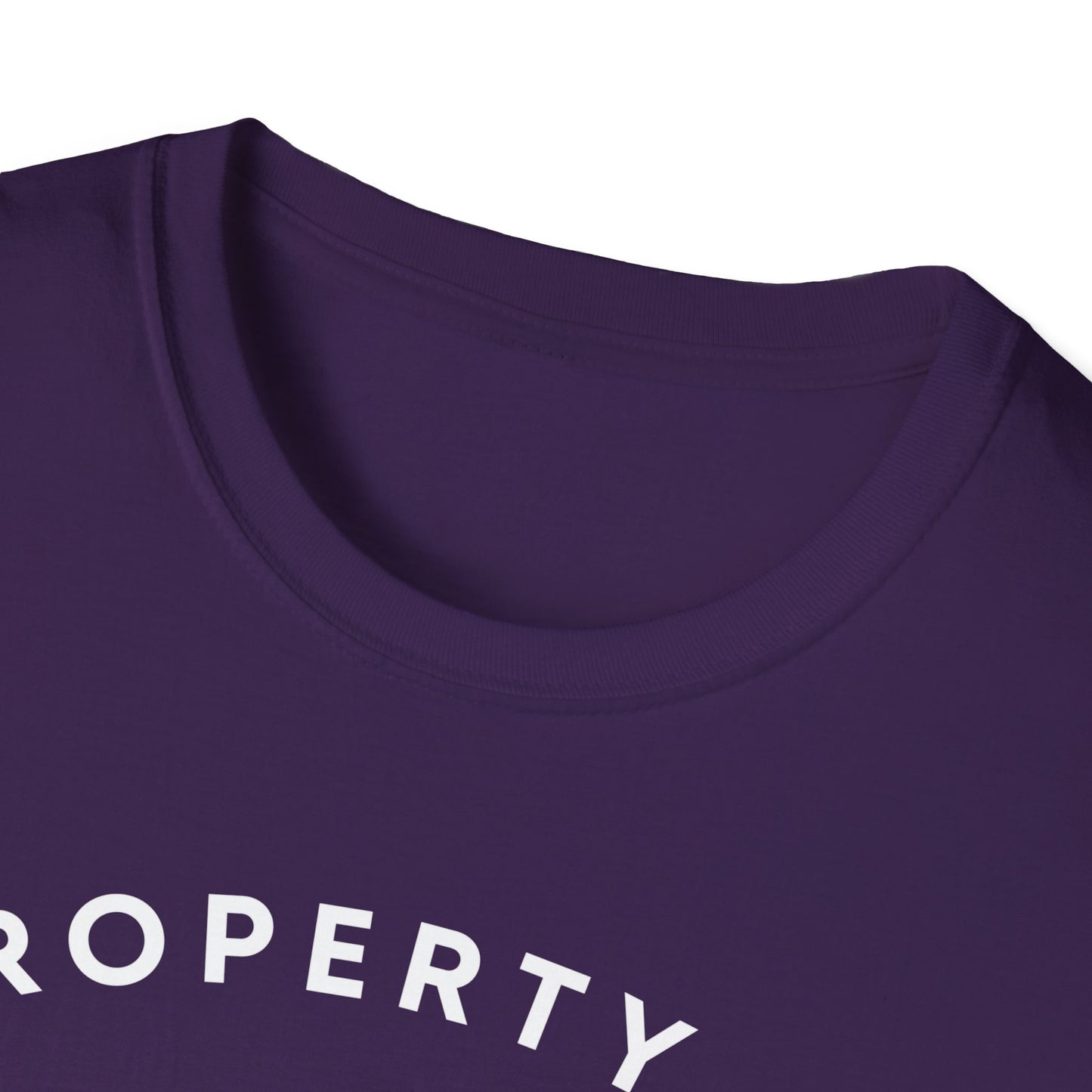 Property of DMV Hockey Unisex Softstyle T-Shirt - Perfect for Fans and Players