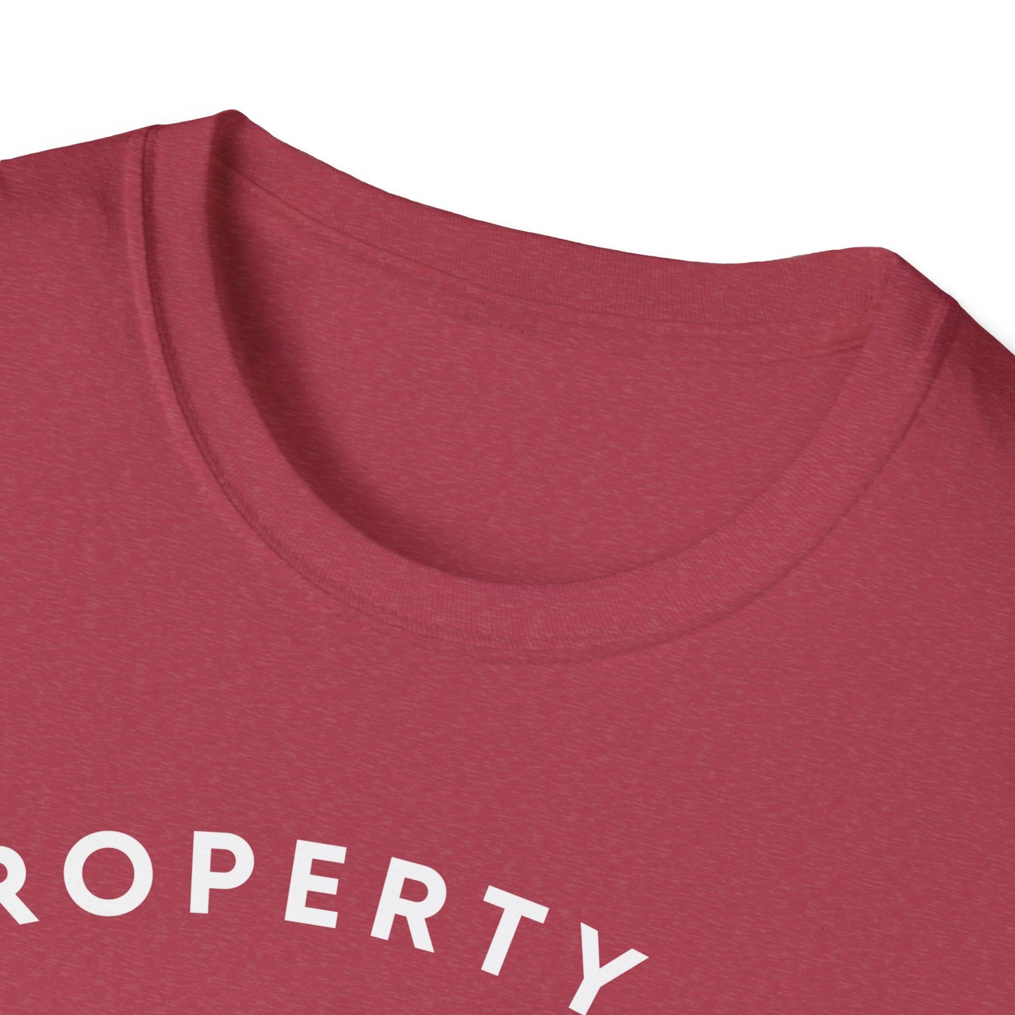 Property of DMV Hockey Unisex Softstyle T-Shirt - Perfect for Fans and Players