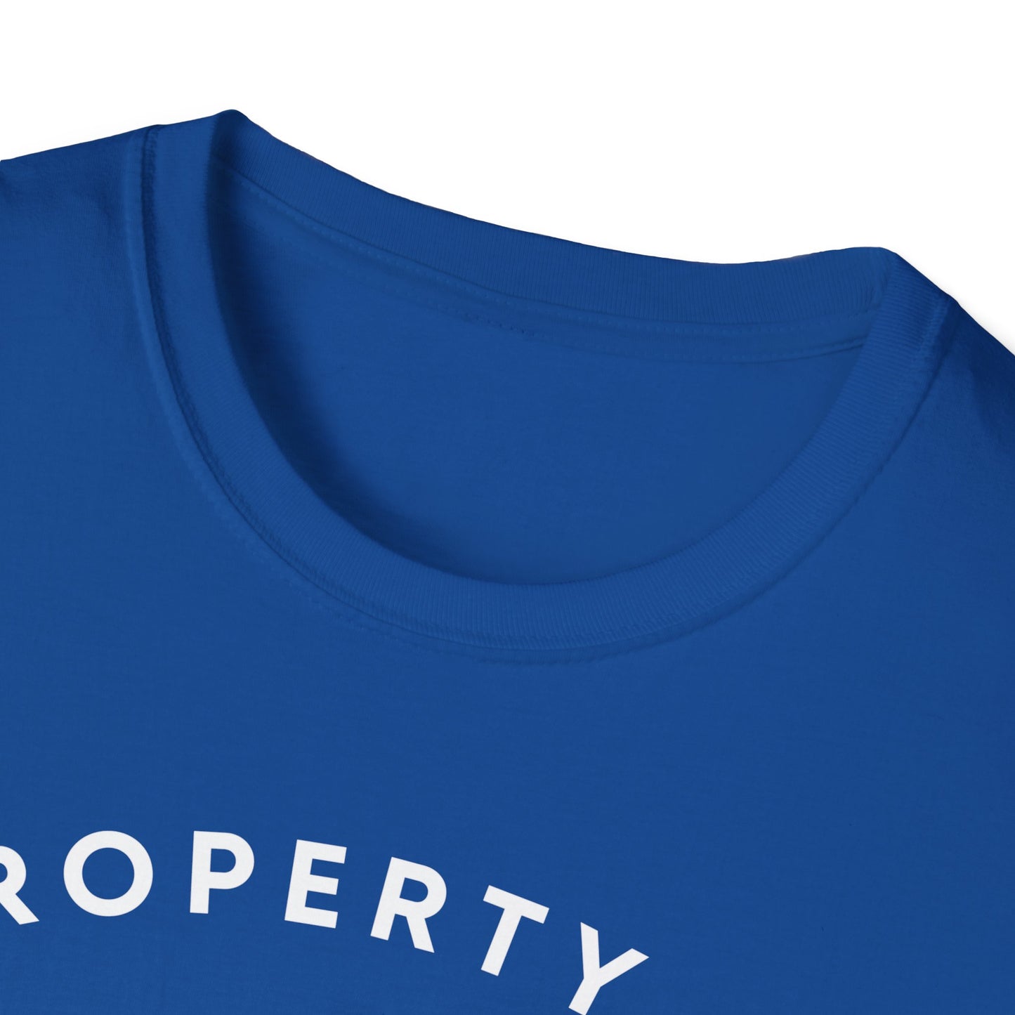 Property of DMV Hockey Unisex Softstyle T-Shirt - Perfect for Fans and Players