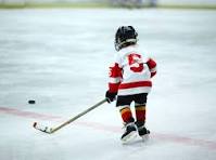 Junior Hockey Sticks