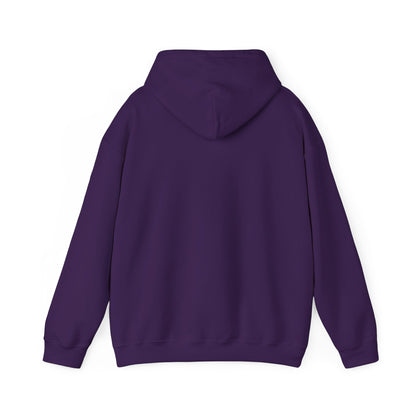 Classic DMV Hockey Hoodie