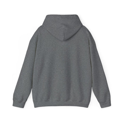 Classic DMV Hockey Hoodie