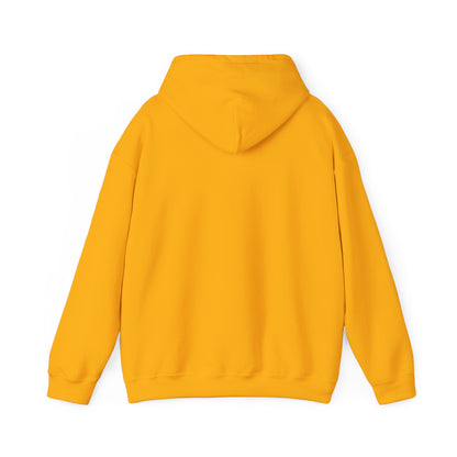 Classic DMV Hockey Hoodie