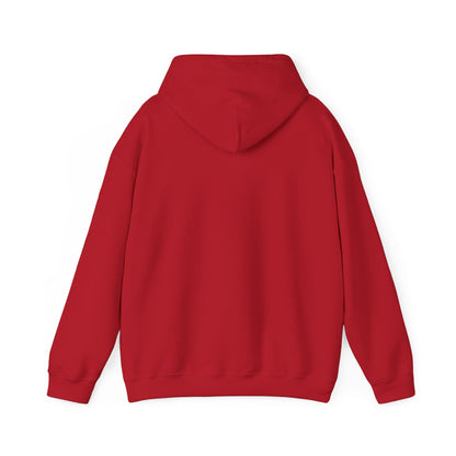 Classic DMV Hockey Hoodie