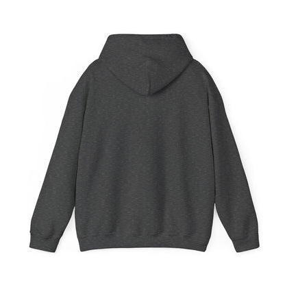 Classic DMV Hockey Hoodie
